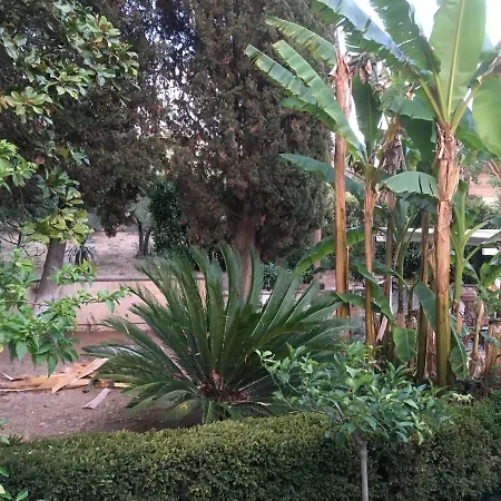 Country house Aleanto